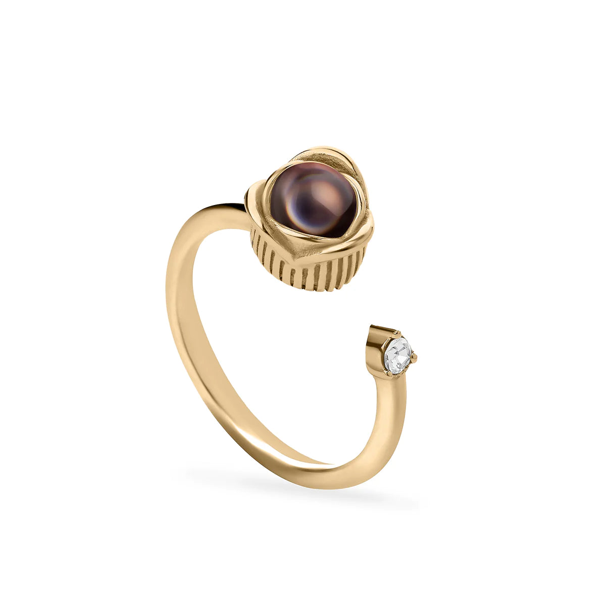 Foto-Ring